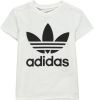 Adidas Trefoil voorschools T Shirts White 100% Katoen online kopen